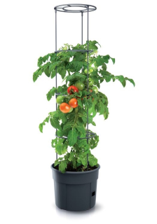 Kvetináč na pestovanie paradajok TOMATO GROWER antracit 39,2cm
